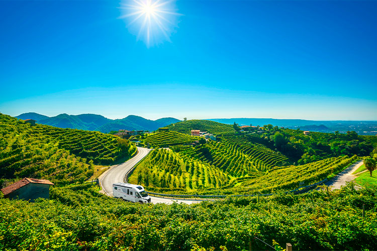 camping-car profilé Pilote roulant sur une route entouré de vignes