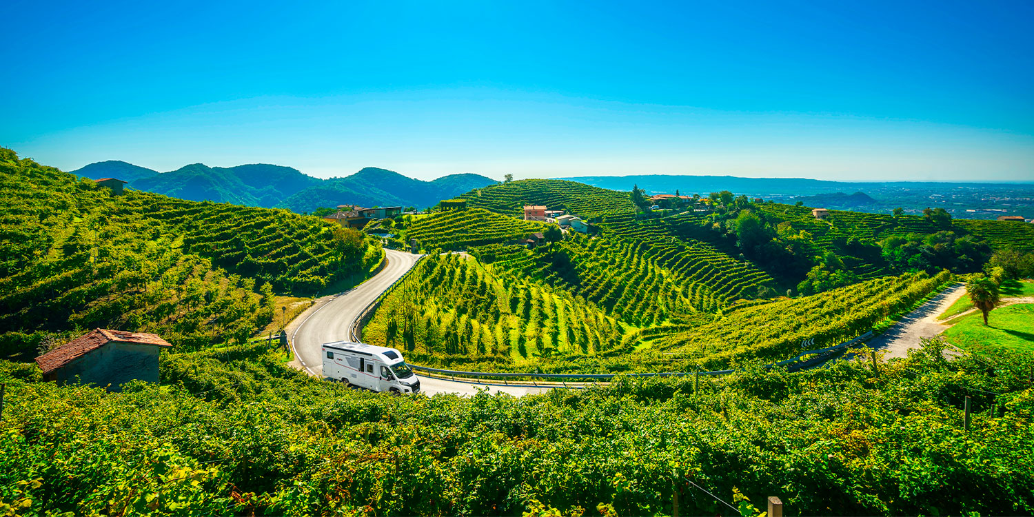 camping-car profilé Pilote roulant sur une route entouré de vignes